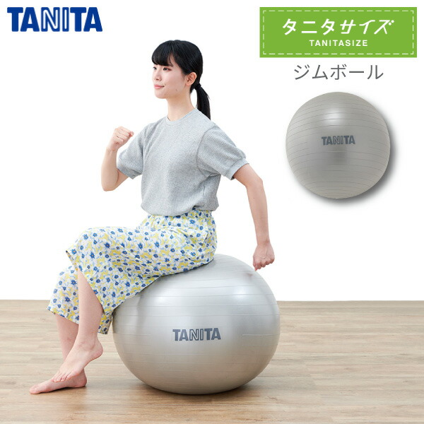 タニタ タニタサイズ ジムボール TS-962-SVバランスボール ダイエット 運動 筋トレ 65cm