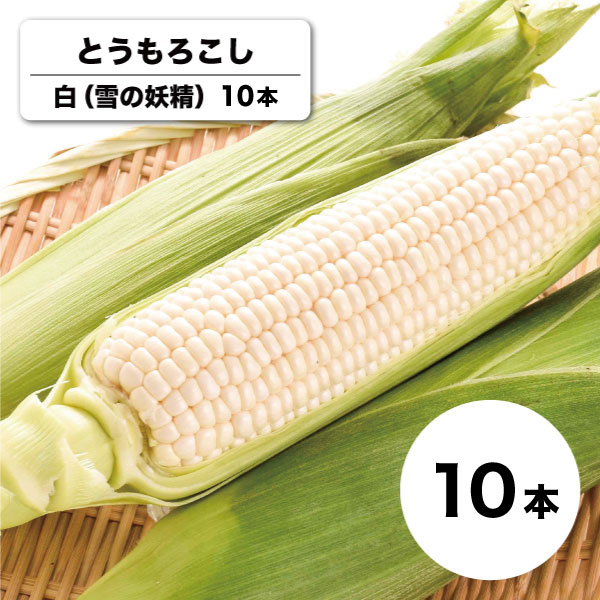 【送料無料】【9月19日までの予約販売】【8月下旬〜9月中旬頃発送】雪の妖精 10本 白とうもろこし 北海道 産直 同梱不可
