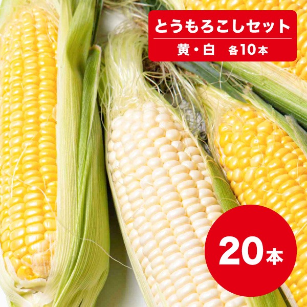 【送料無料】【9月19日までの予約販売】【8月下旬〜9月中旬頃発送】とうもろこし 黄色・白色セット 20本 北海道 産直 同梱不可
