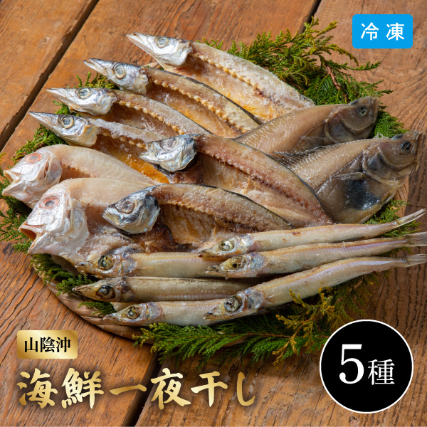 【送料無料】12月10日までの期間限定販売 山陰海鮮一夜干しセット 5種 6366-50 同梱不可
